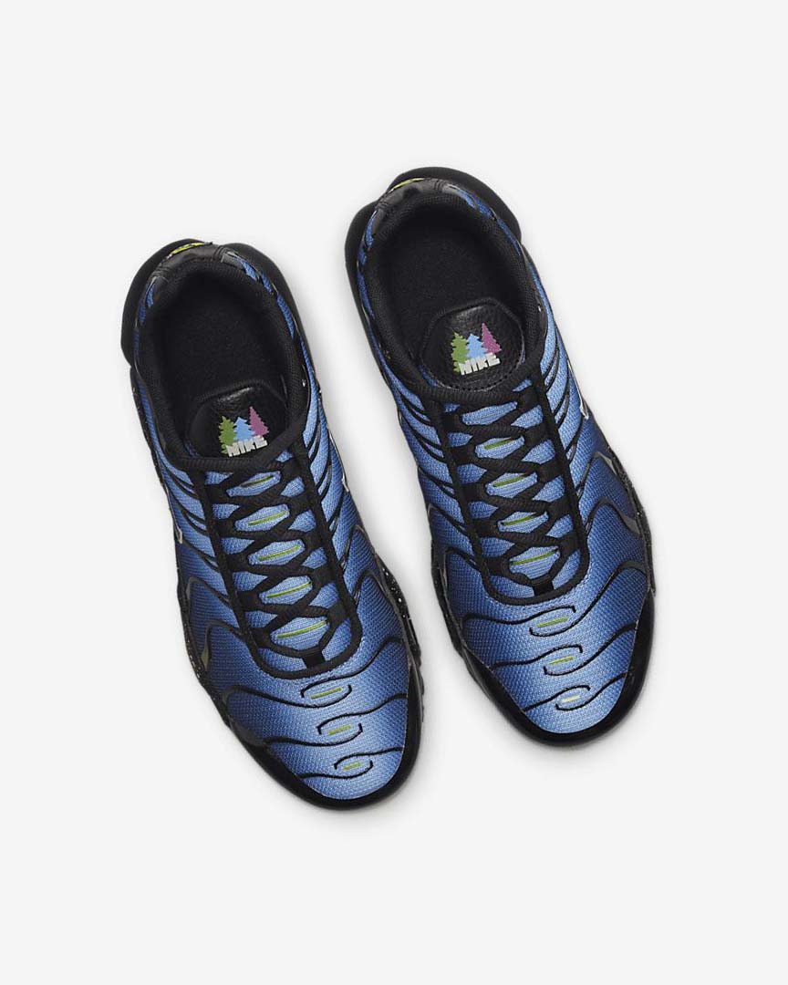 Black / Blue / Light Burgundy Nike Air Max Plus Girls' Sneakers | CA_3052