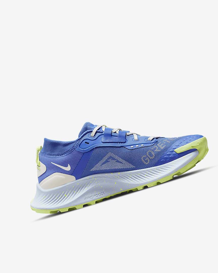 Blue / Brown / Grey Nike Pegasus Trail 3 GORE-TEX Waterproof Women's Trail Running Shoes | CA_3243