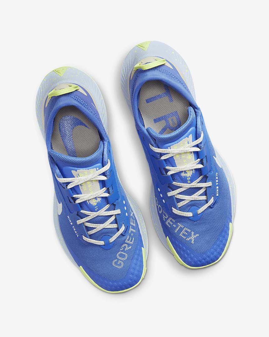 Blue / Brown / Grey Nike Pegasus Trail 3 GORE-TEX Waterproof Women's Trail Running Shoes | CA_3243