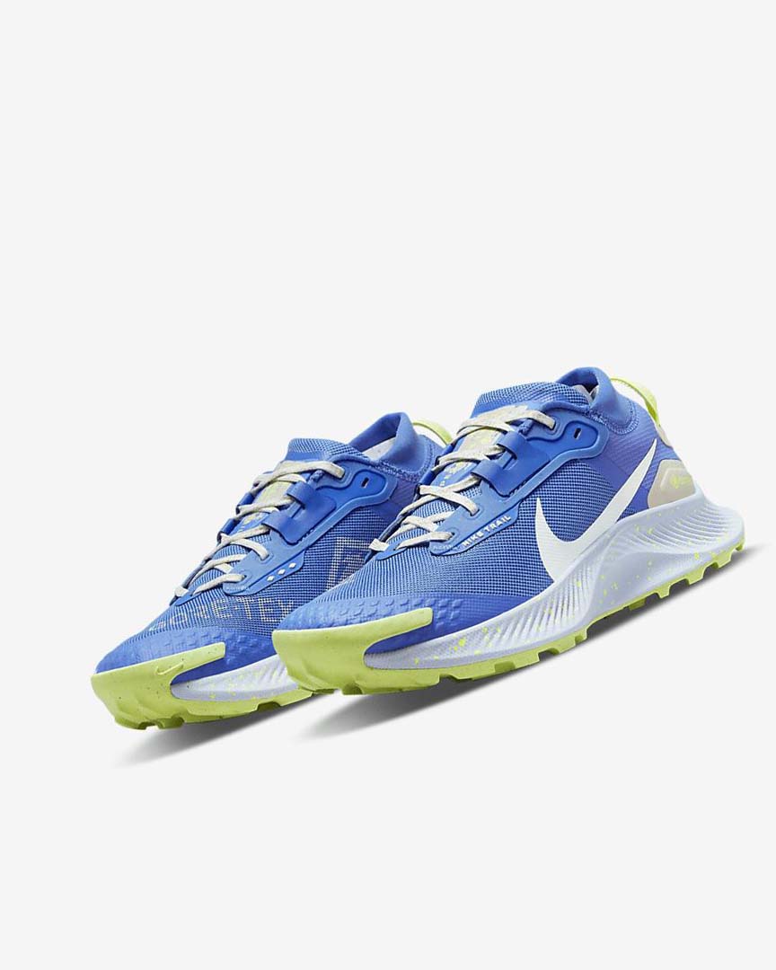Blue / Brown / Grey Nike Pegasus Trail 3 GORE-TEX Waterproof Women's Trail Running Shoes | CA_3243