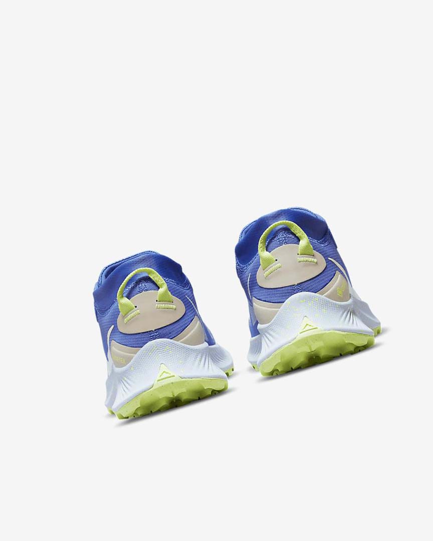 Blue / Brown / Grey Nike Pegasus Trail 3 GORE-TEX Waterproof Women's Trail Running Shoes | CA_3243