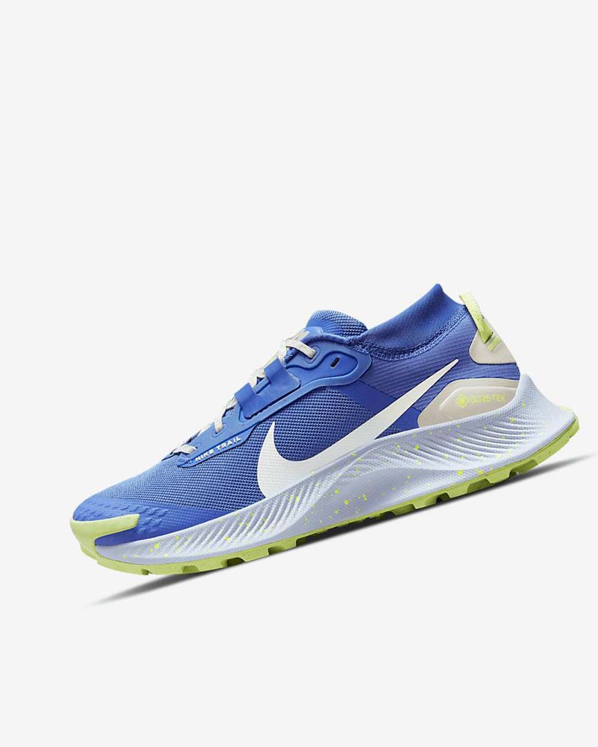 Blue / Brown / Grey Nike Pegasus Trail 3 GORE-TEX Waterproof Women\'s Trail Running Shoes | CA_3243