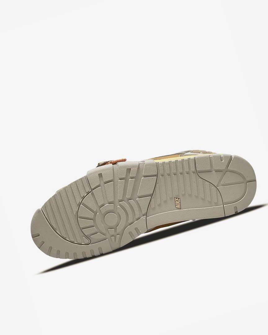 Brown / Light Nike Air Trainer 1 SP Men's Sneakers | CA_5128