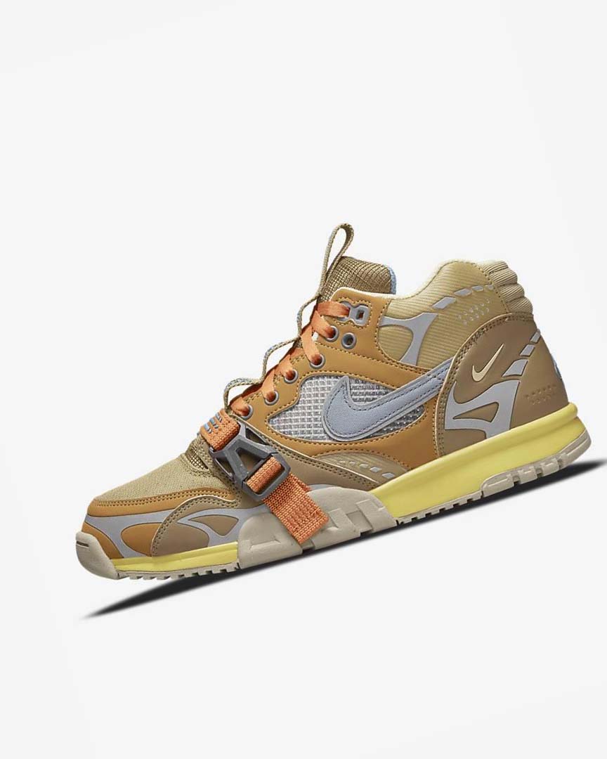 Brown / Light Nike Air Trainer 1 SP Men\'s Sneakers | CA_5128