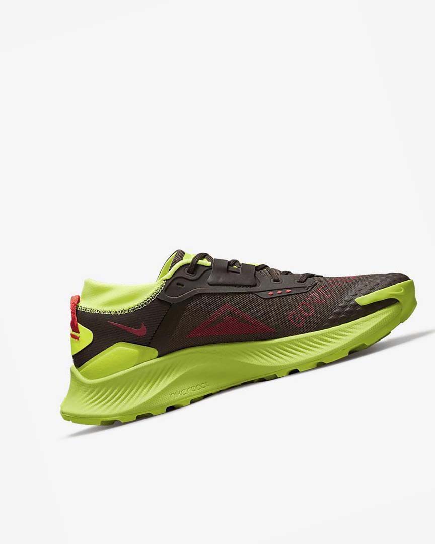 Dark Chocolate / Light Red Nike Pegasus Trail 3 GORE-TEX Men's Trail Running Shoes | CA_4727
