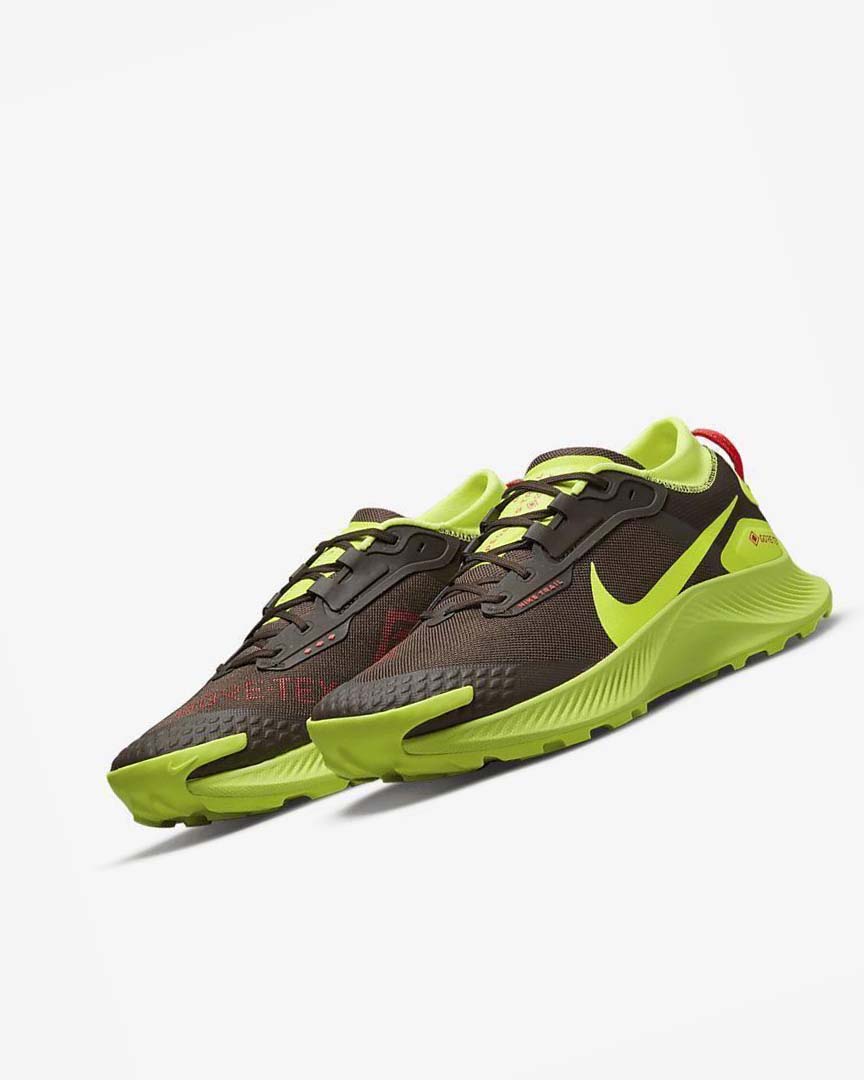 Dark Chocolate / Light Red Nike Pegasus Trail 3 GORE-TEX Men's Trail Running Shoes | CA_4727