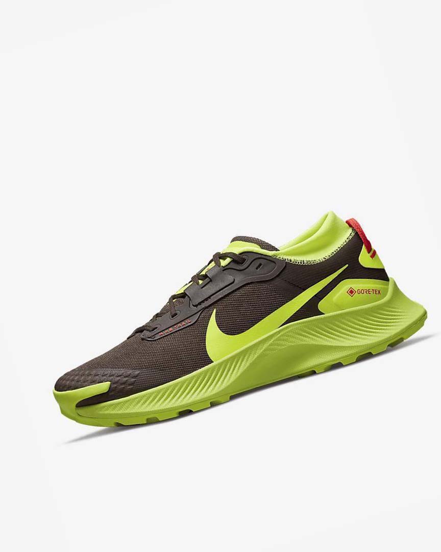 Dark Chocolate / Light Red Nike Pegasus Trail 3 GORE-TEX Men\'s Trail Running Shoes | CA_4727