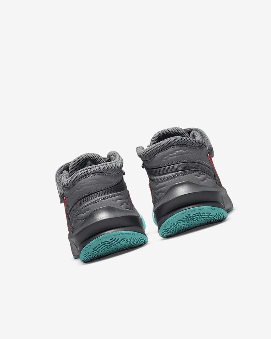 Grey / Dark Grey / Turquoise / Red Nike Team Hustle D 10 FlyEase Girls' Basketball Shoes | CA_2827