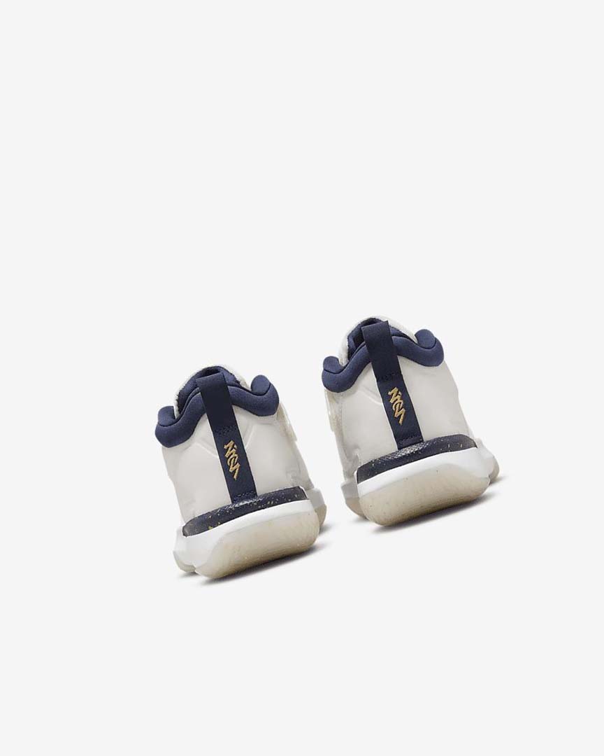 Khaki / White / Metal Gold / Navy Nike Zion 1 Boys' Basketball Shoes | CA_5186