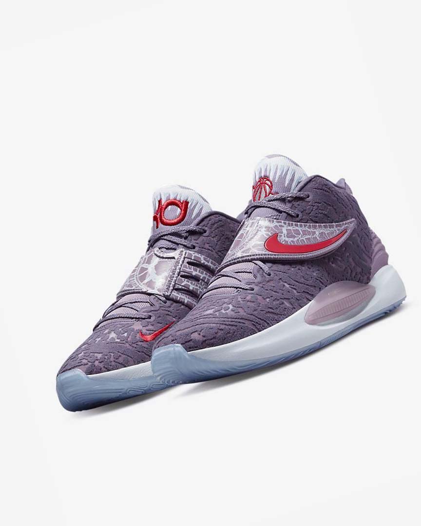 Multicolor / Multicolor Nike KD14 Men's Basketball Shoes | CA_4827