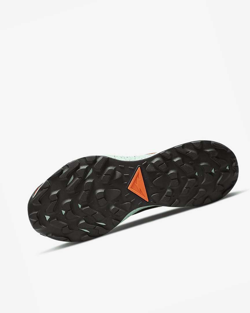 Orange / Black / Orange / Red Nike Pegasus Trail 3 GORE-TEX Waterproof Men's Trail Running Shoes | CA_4489