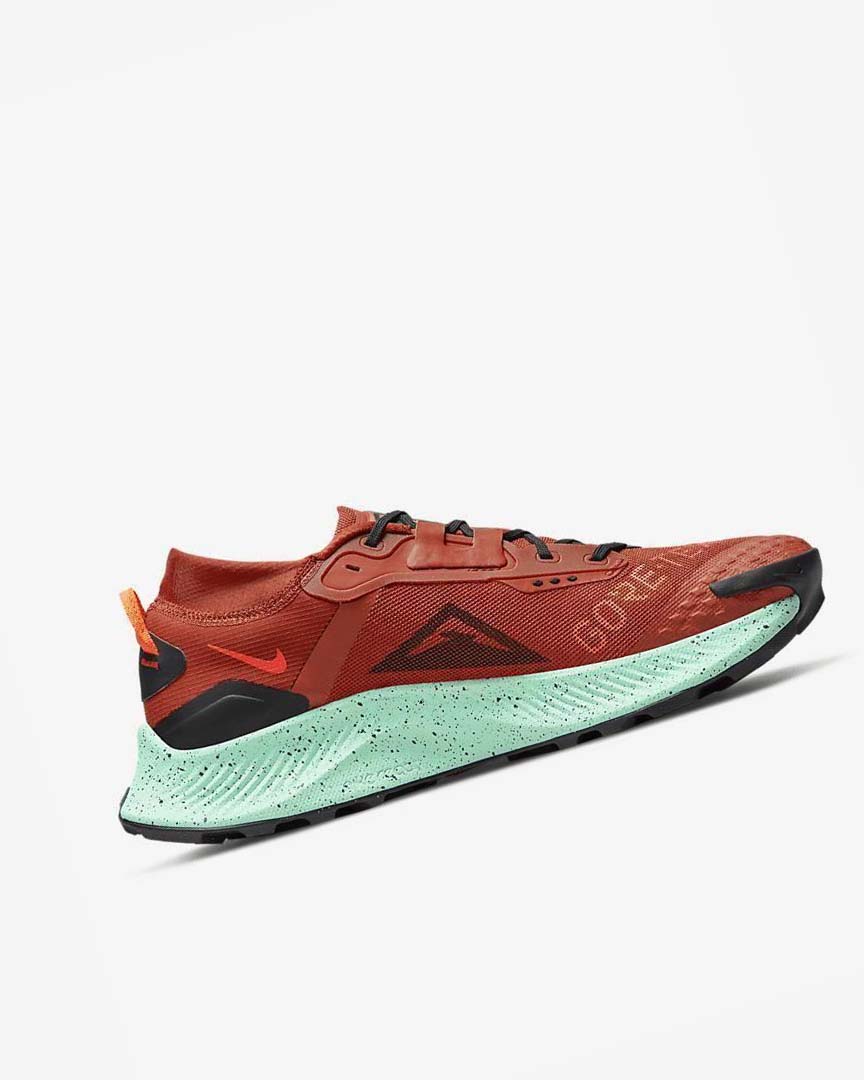 Orange / Black / Orange / Red Nike Pegasus Trail 3 GORE-TEX Waterproof Men's Trail Running Shoes | CA_4489