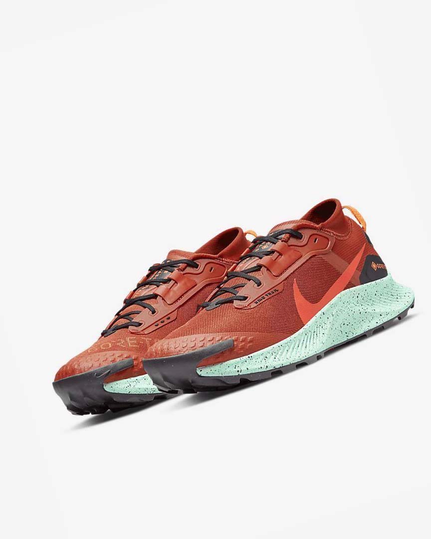 Orange / Black / Orange / Red Nike Pegasus Trail 3 GORE-TEX Waterproof Men's Trail Running Shoes | CA_4489