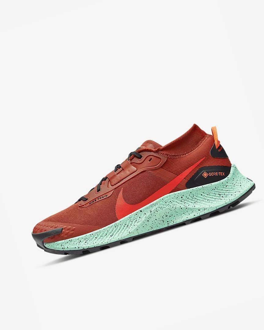 Orange / Black / Orange / Red Nike Pegasus Trail 3 GORE-TEX Waterproof Men\'s Trail Running Shoes | CA_4489