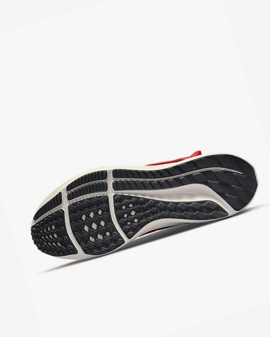 Red / Dark Grey / Black Nike Air Zoom Pegasus 39 FlyEase Men's Running Shoes | CA_2805