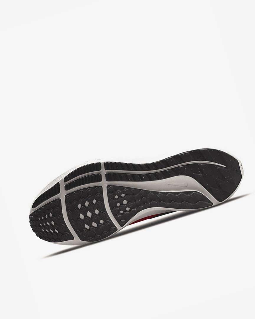 Red / Red / Black Nike Air Zoom Pegasus 39 Men's Running Shoes | CA_5520