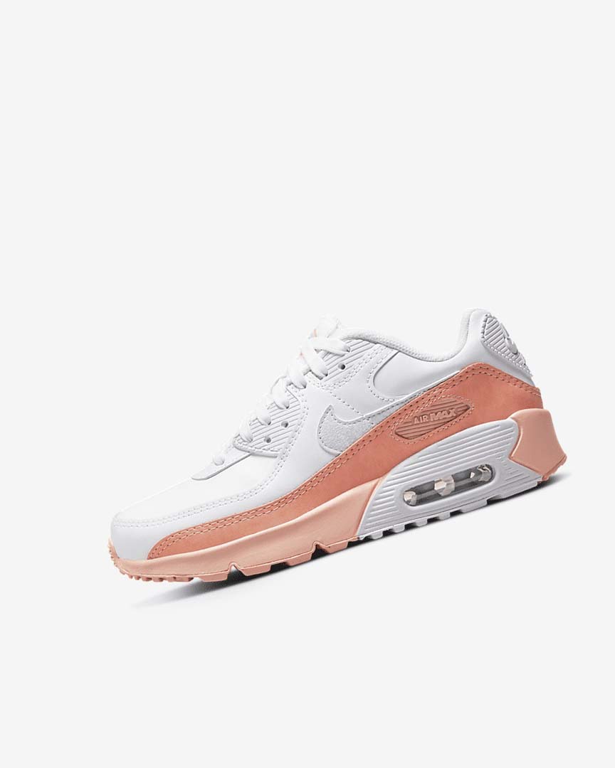 White / Light Nike Air Max 90 LTR SE Boys\' Casual Shoes | CA_5009