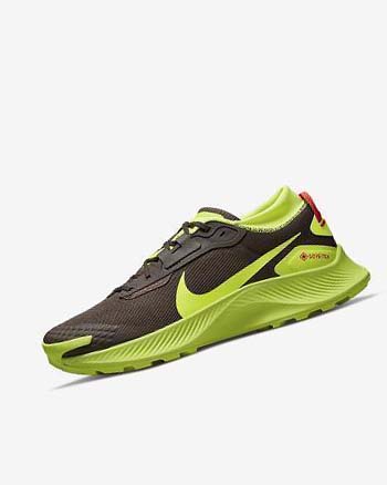 Dark Chocolate / Light Red Nike Pegasus Trail 3 GORE-TEX Men's Trail Running Shoes | CA_4727