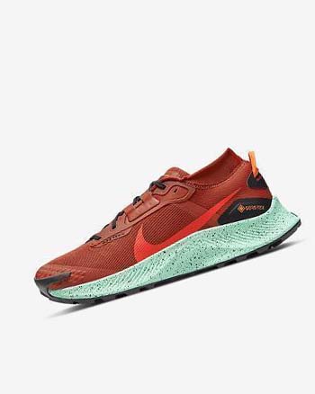 Orange / Black / Orange / Red Nike Pegasus Trail 3 GORE-TEX Waterproof Men's Trail Running Shoes | CA_4489